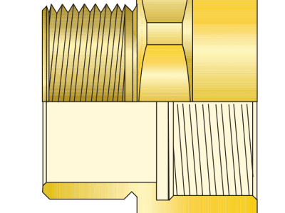Brass Hex Adaptor — For Connection between Dis-Similar Thread
