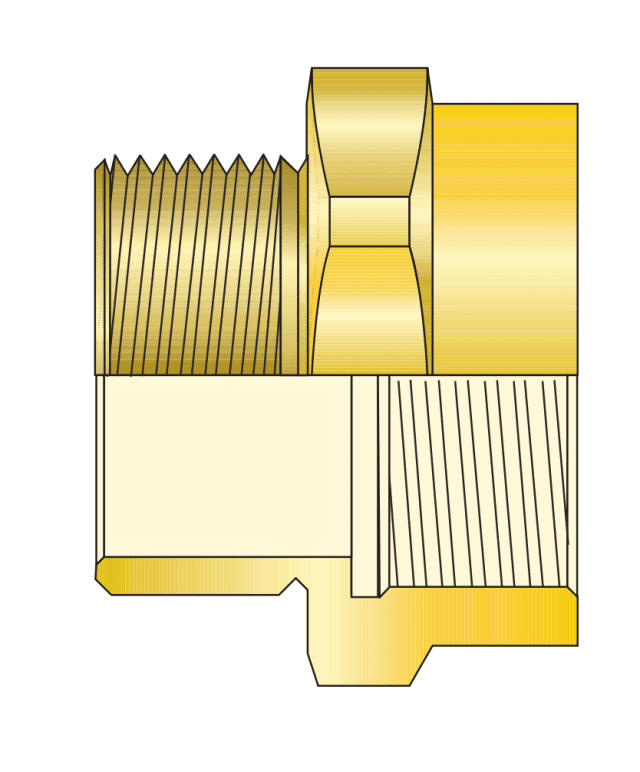 Brass Hex Adaptor — For Connection between Dis-Similar Thread