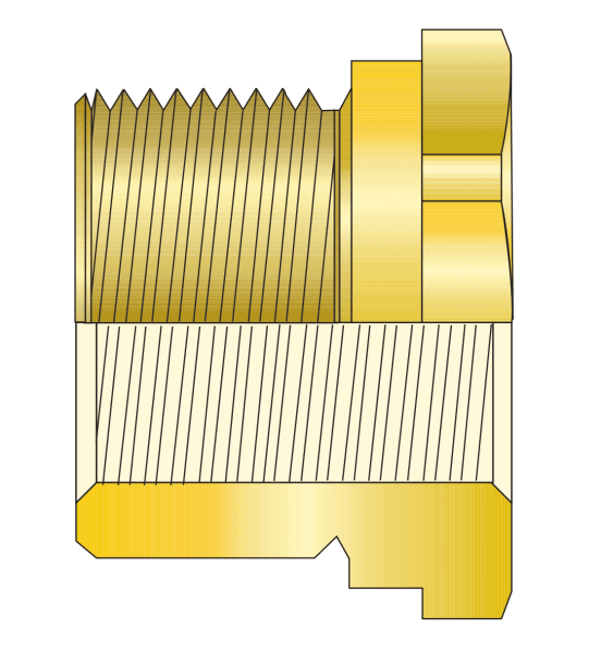Brass Hex Reducer — For Connection between Dis-Similar Thread